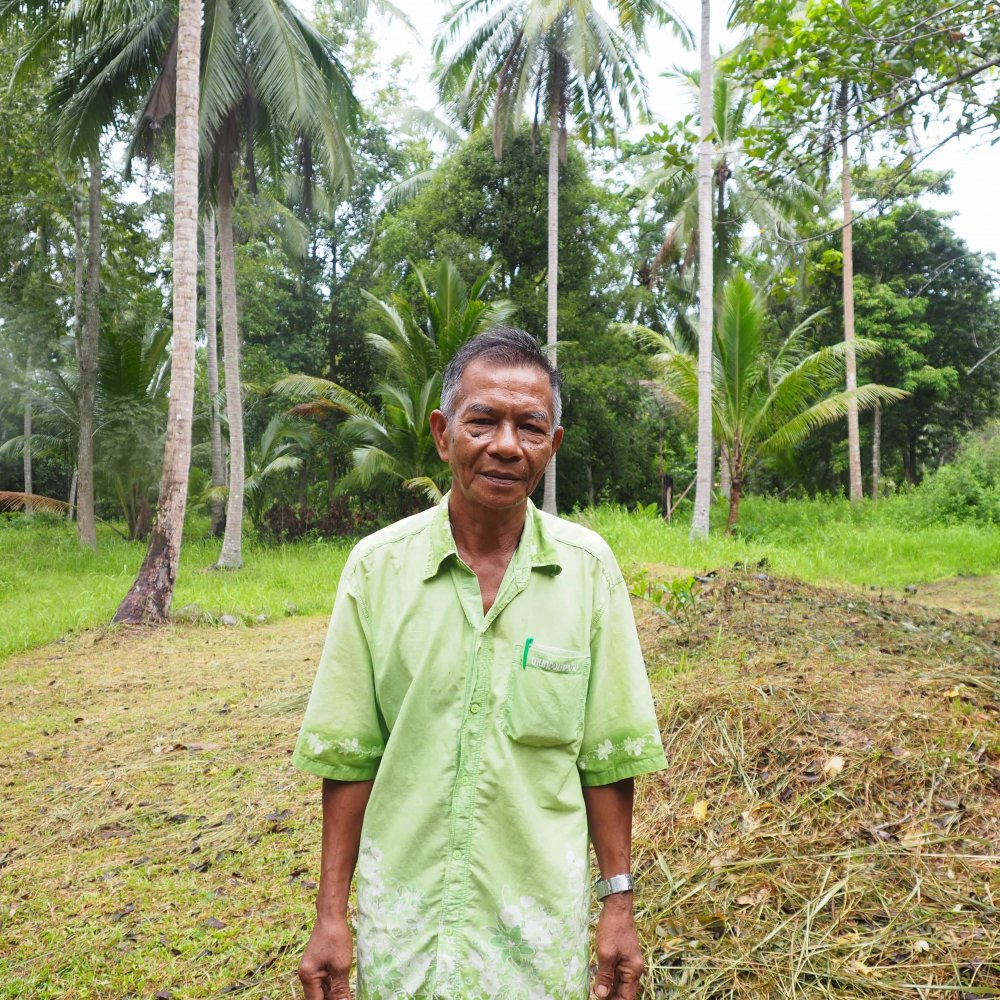 user-avatar